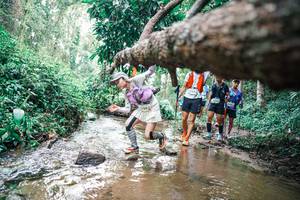 BIB: 
                            <button type="button" onclick="openModal(25373112)" class="btn btn-primary btn-sm float-right btn-popup" data-toggle="modal" data-target=".modal-high-quality">
                        <i class="fas fa-shopping-cart"></i> Add to Cart
                    </button>
                                            <button type="button" onclick="isThisMe(25373112, true)" class="btn btn-success btn-sm float-right btn-popup btn-isme hidden" data-toggle="tooltip" data-placement="bottom" title="นี่คือรูปของคุณใช่ไหม คลิกที่นี่เพื่อเอาเข้าอัลบั้ม">
                        <i class="fas fa-plus"></i> Add to album
                    </button>
                    <button type="button" onclick="isThisMe(25373112, false)" class="btn btn-warning btn-sm float-right btn-popup btn-isnotme hidden">
                        <i class="fas fa-ban"></i> Remove from album
                    </button>